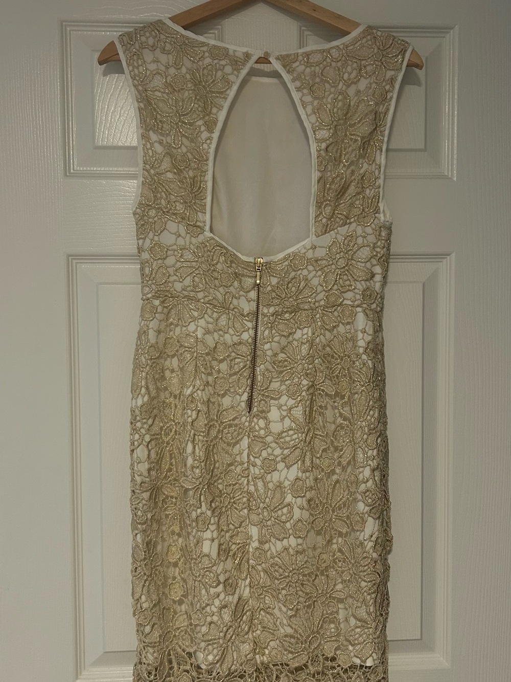 Sleeveless Ivory Dress with Gold Lace Overlay - Picture 2 of 4